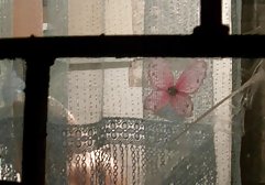 استپاد با جسیکا ركس سكس جنسی خود را فرکانس شبکه های سکسی در ماهواره كشته است